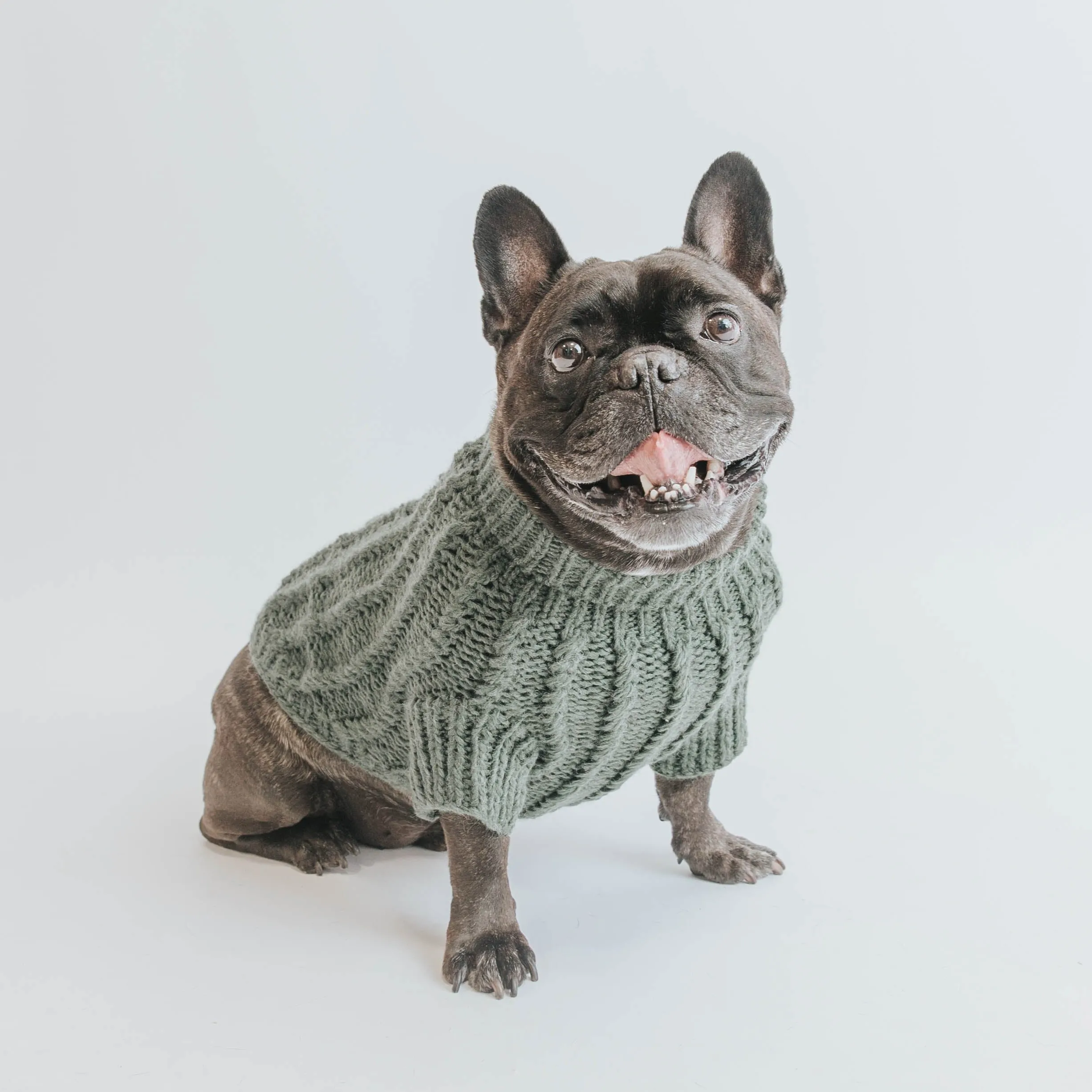 Dog Cable Knit Sweater - Dark Green