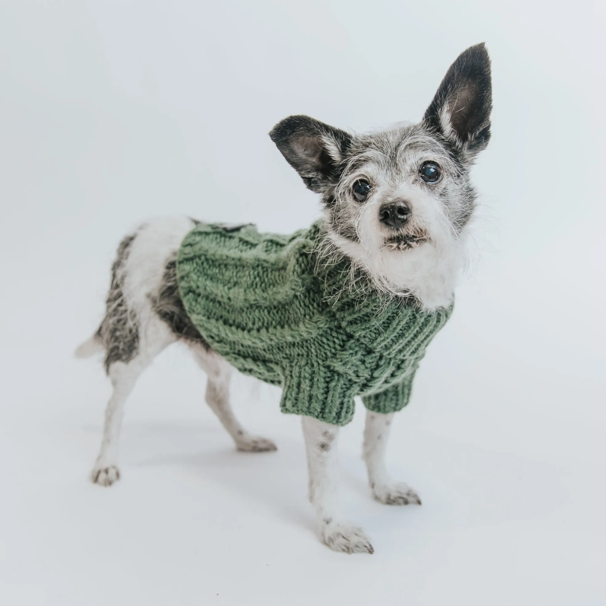 Dog Cable Knit Sweater - Dark Green