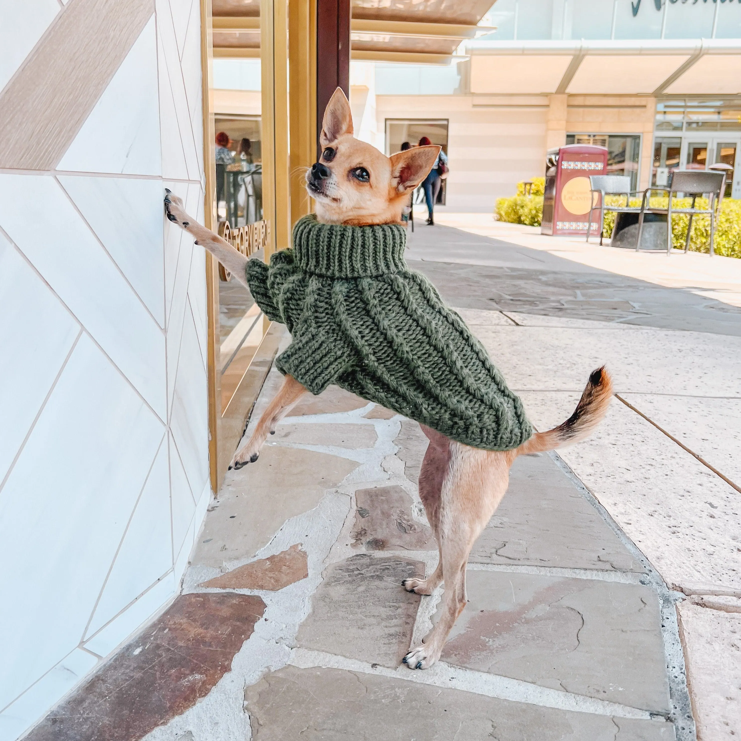 Dog Cable Knit Sweater - Dark Green